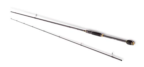 Hearty Rise Innovation 832 H 2,53m 8-32g - Spinnrute zum Gummifischangeln, Jigrute für Zander & Barsche, Raubfischrute zum Jiggen Hearty Rise Innovation 832 H 2,53m 8-32g - Spinnrute zum Gummifischangeln, Jigrute für Zander & Barsche, Raubfischrute zum Jiggen von Hearty Rise