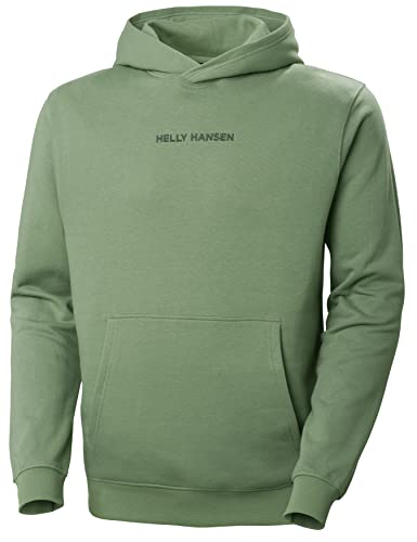 Helly Hansen Herren Core Graphic Sweat Hoodie Hemd, Jade 2.0, S von Helly Hansen