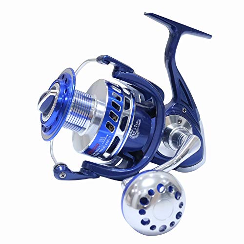 HiUmi 30 kg Power Drag Saltiga Spinnrollen Heavy Duty Sea Fishing Boot Fishing Jigging Angelrolle 4000 5000 6000 7000 8000 9000, 8000 von HiUmi