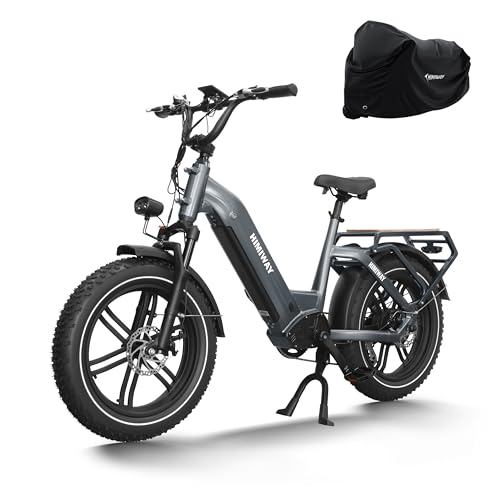 Himiway Big Dog Ebike mit 250W Motor und 86Nm Elektrisches Lastenfahrrad, mit 20 Zoll E Bike mit 48V 20AH 960 WH Akku, Elektrofahrrad für Pendeln und Bergfahren mit Hydraulischen Scheibenbremsen von Himiway