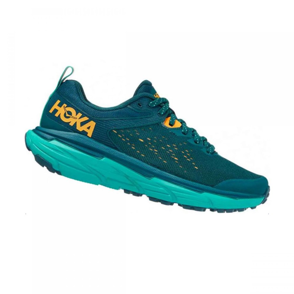 Hoka Challenger All Terrain 6 Trail Running Shoes Blau EU 40 Frau von Hoka