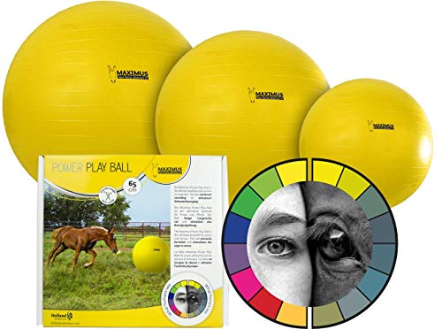 Hofman Maximus Power Play Ball - Spielzeug für Pferde - Gelb - 75 cm Hofman Maximus Power Play Ball - Spielzeug für Pferde - Gelb - 75 cm von Holland Animalkare