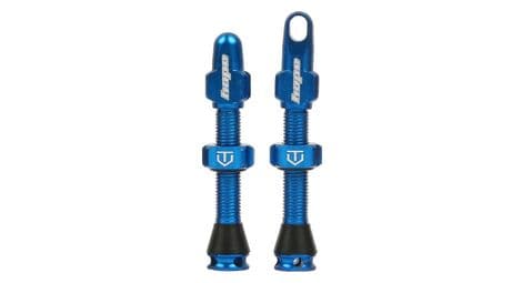 hope blue tubeless ventilpaar von Hope