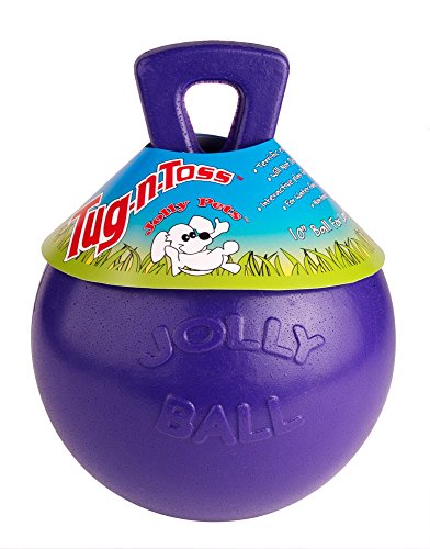 Horsemens Pride Inc. Jolly Haustiere Tug-N-Wurf Jolly Ball - 6" Purple - Purple Clear, Unisex, HMP0110 von Jolly Pets