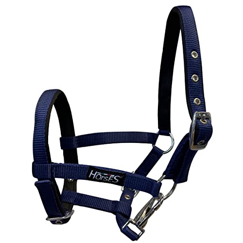 Horses, Fohlenhalfter, Modell Foal, Komfortables Halfter zum Führen des Fohlens an der Hand oder zum Sichern beim Putzen, Satteln oder Transportieren Horses, Fohlenhalfter, Modell Foal, Komfortables Halfter zum Führen des Fohlens an der Hand oder zum Sichern beim Putzen, Satteln oder Transportieren von Horses