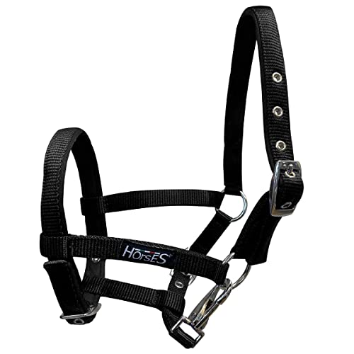 Horses, Fohlenhalfter, Modell Foal, Komfortables Halfter zum Führen des Fohlens an der Hand oder zum Sichern beim Putzen, Satteln oder Transportieren Horses, Fohlenhalfter, Modell Foal, Komfortables Halfter zum Führen des Fohlens an der Hand oder zum Sichern beim Putzen, Satteln oder Transportieren von Horses
