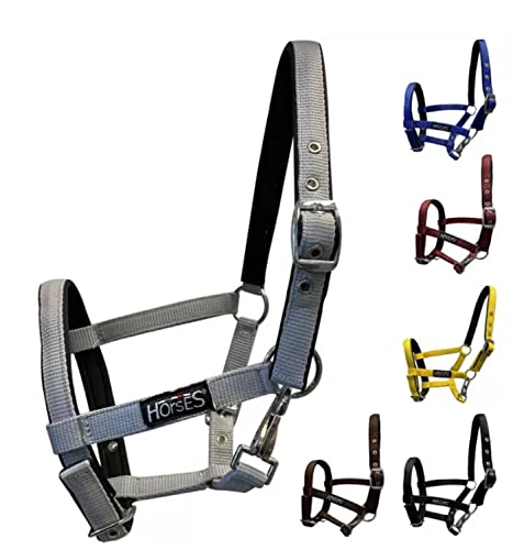 Horses, Fohlenhalfter, Modell Foal, Komfortables Halfter zum Führen des Fohlens an der Hand oder zum Sichern beim Putzen, Satteln oder Transportieren Horses, Fohlenhalfter, Modell Foal, Komfortables Halfter zum Führen des Fohlens an der Hand oder zum Sichern beim Putzen, Satteln oder Transportieren von Horses