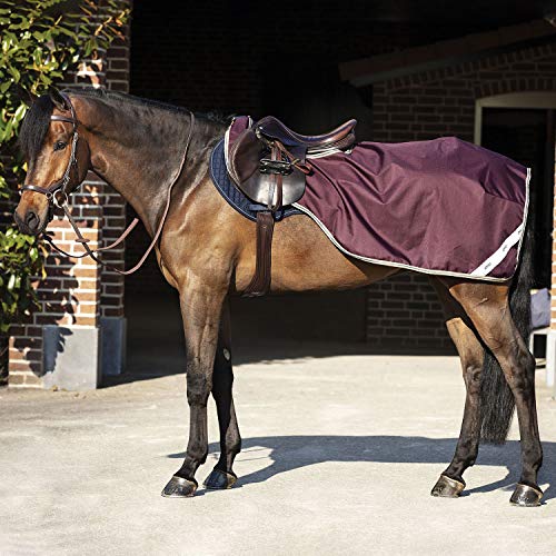 AMIGO Ripstop Competition Exercise Sheet Large Fig Navy Tan AMIGO Ripstop Competition Exercise Sheet Large Fig Navy Tan von AMIGO