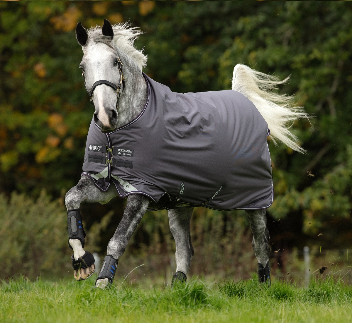 Amigo Bravo 12 Original - Lite 0g Amigo Bravo 12 Original - Lite 0g von Horseware