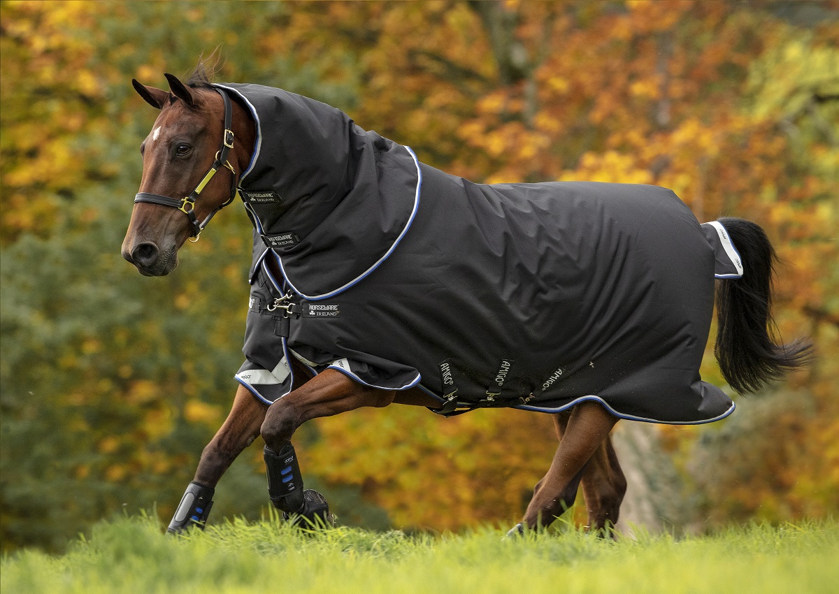Amigo Bravo 12 Plus - Medium 250g Amigo Bravo 12 Plus - Medium 250g von Horseware