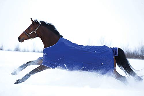 Amigo Hero 900 TO 200g 145cm Atl. Blue Amigo Hero 900 TO 200g 145cm Atl. Blue von Horseware