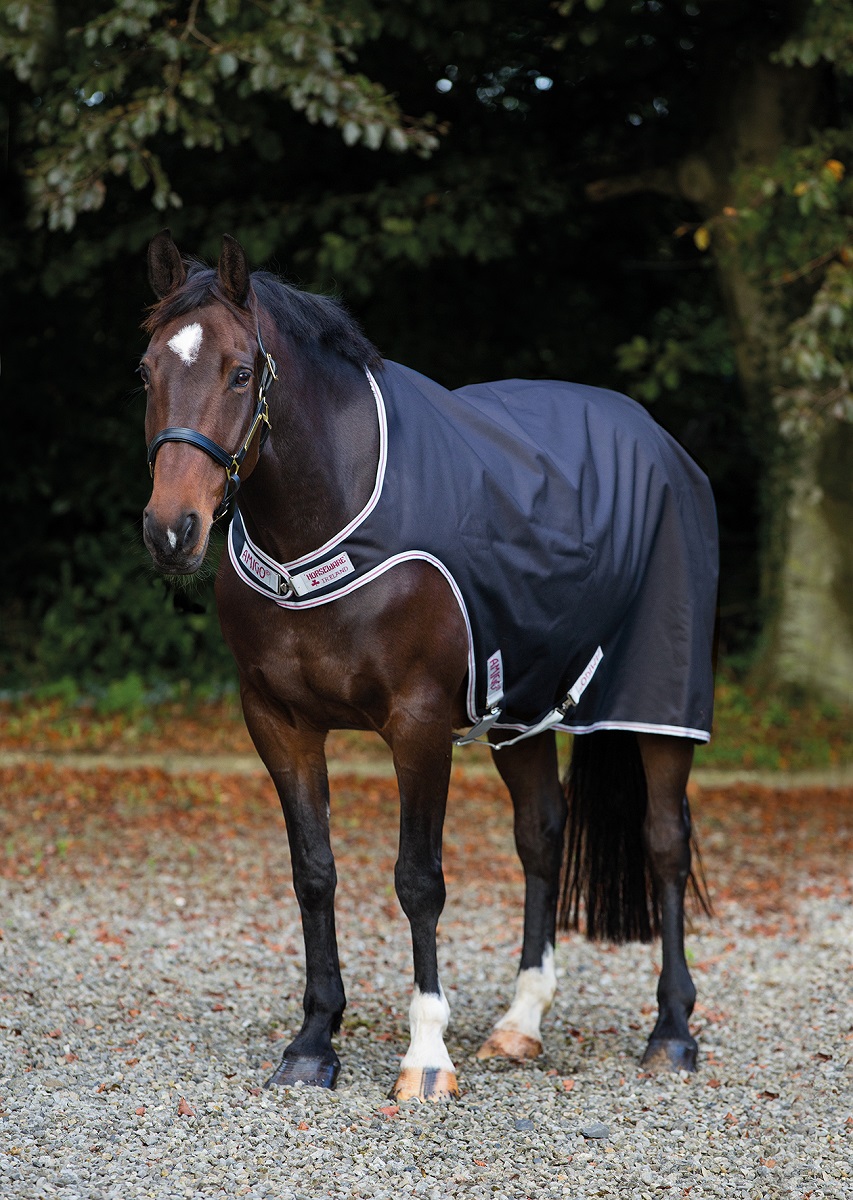 Amigo Walker 100gr Amigo Walker 100gr von Horseware