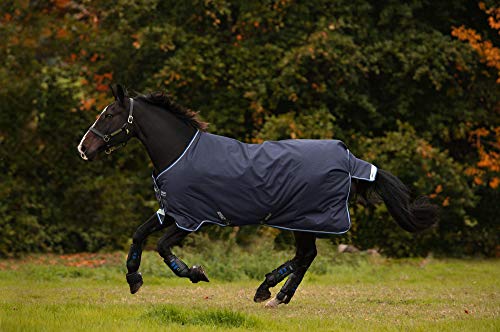 Horseware Amigo Bravo-12 t/o Med w/la Turnout Decke wasserdicht Navy/Blue/Strong Blue & Black HW 20, Deckengröße:130 cm / 6´0 Horseware Amigo Bravo-12 t/o Med w/la Turnout Decke wasserdicht Navy/Blue/Strong Blue & Black HW 20, Deckengröße:130 cm / 6´0 von Horseware