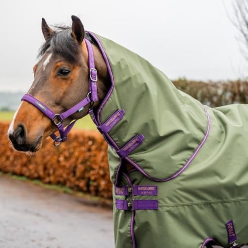 Horseware Amigo Hero 600D Ripstop 100g Turnout Decke wasserdicht bramble/Winterberry & Taupe, Größe:6'3 Horseware Amigo Hero 600D Ripstop 100g Turnout Decke wasserdicht bramble/Winterberry & Taupe, Größe:6'3 von Horseware