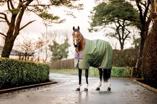 Horseware Amigo Hero 600D Ripstop 50g Turnout Decke wasserdicht bramble/Winterberry, Größe:6'6/145 von Horseware