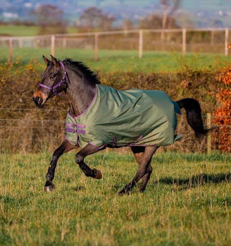 Horseware Amigo Hero 600D Ripstop Lite 0gTurnout Decke wasserdicht bramble/Winterberry & Taupe, Größe:6'0 Horseware Amigo Hero 600D Ripstop Lite 0gTurnout Decke wasserdicht bramble/Winterberry & Taupe, Größe:6'0 von Horseware