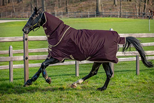 Horseware Amigo Hero Ripstop Lite 0g - Fig/Navy & Tan von Horseware