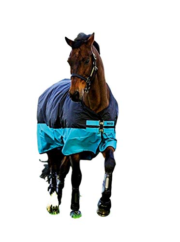 Horseware Amigo Mio Hemd Lite, regenfest, 12,7–15,2 cm, Schwarz / Türkis und Schwarz von AMIGO