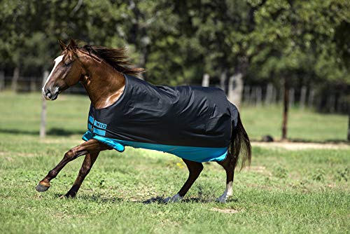 Horseware Amigo Mio Turnout medium 200g - Black with Turquoise& Black, Groesse:100 von Horseware