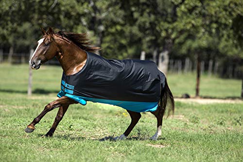 Horseware Amigo Mio Turnout medium 200g - Black with Turquoise& Black, Groesse:85 Horseware Amigo Mio Turnout medium 200g - Black with Turquoise& Black, Groesse:85 von Horseware