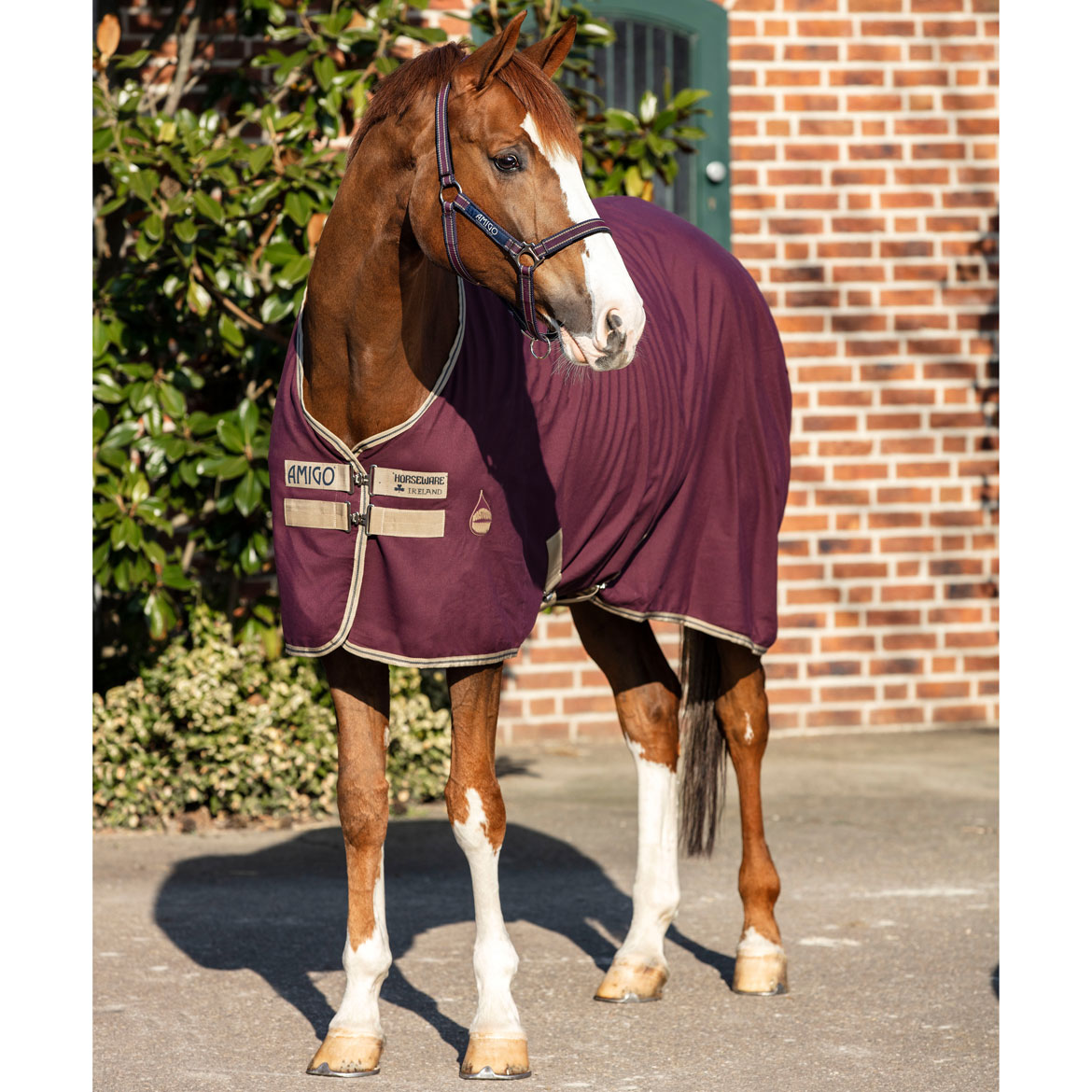 Horseware Amigo Stable Stalldecke 0g Horseware Amigo Stable Stalldecke 0g von Horseware
