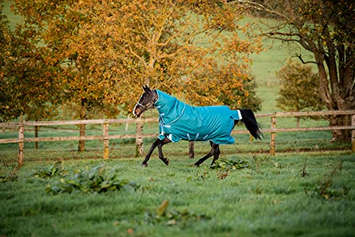 Horseware Decke Amigo Bravo 1200D Plus 400gr 6'3/140 cm - 6'3/140 cm - Grün Horseware Decke Amigo Bravo 1200D Plus 400gr 6'3/140 cm - 6'3/140 cm - Grün von Horseware