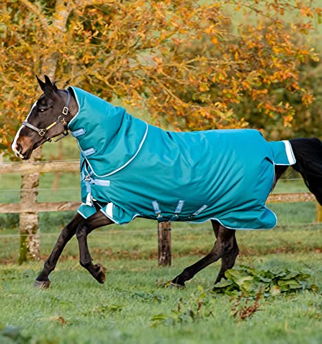 Horseware Decke Amigo Bravo 1200D Plus 400gr 6'9/155 cm - 6'9/155 cm - Grün von Horseware