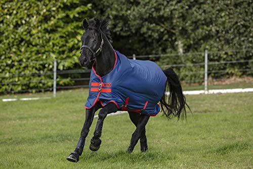 Horseware Mio Turnout Lite 0g - Dark Blue & Red von AMIGO