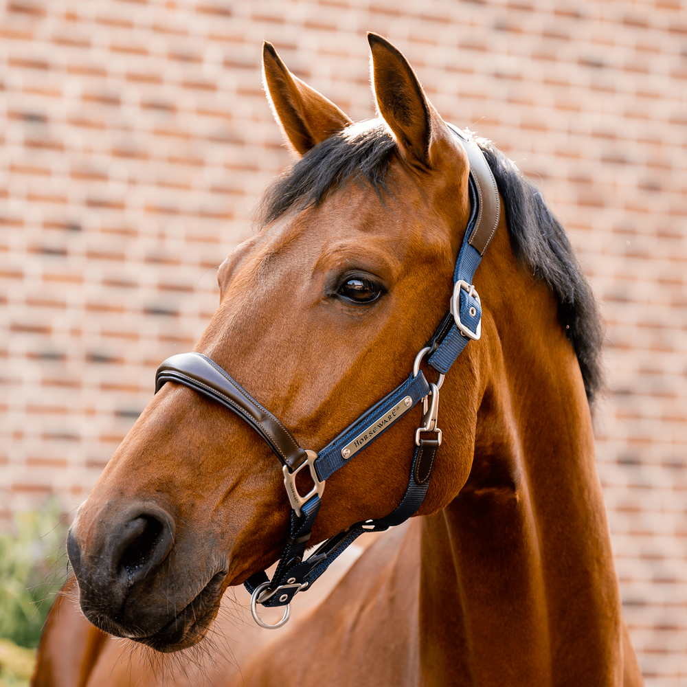 Horseware Signature Competition anatomisches Lederhalter von Horseware