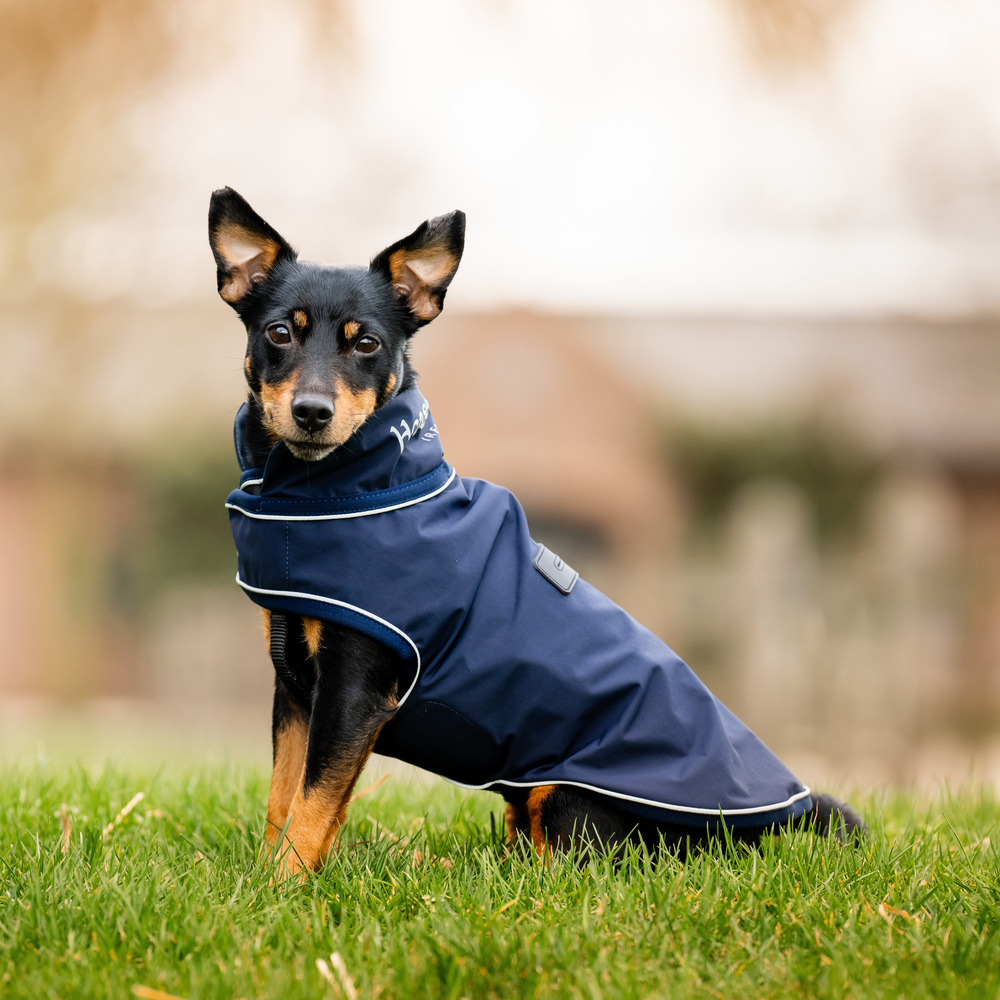 Horseware Signature Dog Rain Coat Hundemantel von Horseware