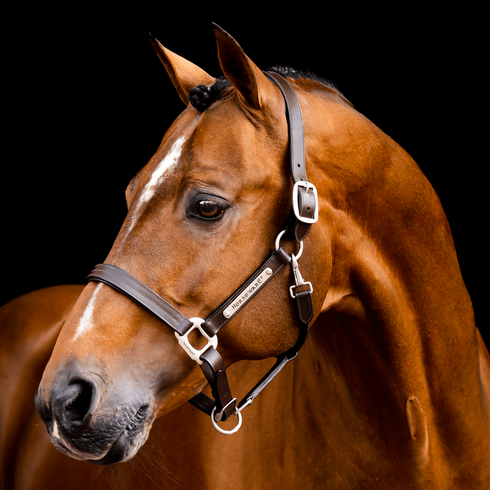Horseware Signature Lederhalfter Horseware Signature Lederhalfter von Horseware