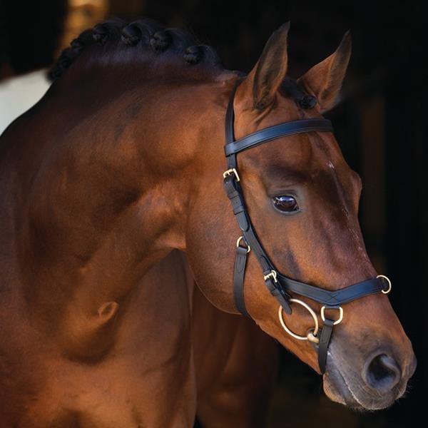 Horseware Trense RAMBO MICKLEM MULTI Horseware Trense RAMBO MICKLEM MULTI von Horseware