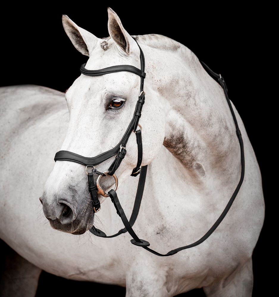 Micklem 2 Competition Bridle Micklem 2 Competition Bridle von Horseware