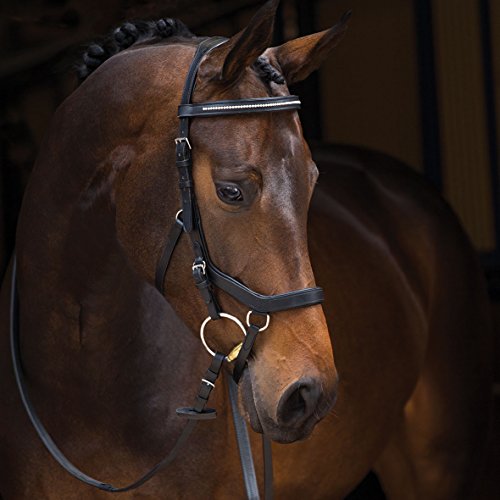 Rambo Micklem Diamond Comp. Bridle VB bk von Horseware