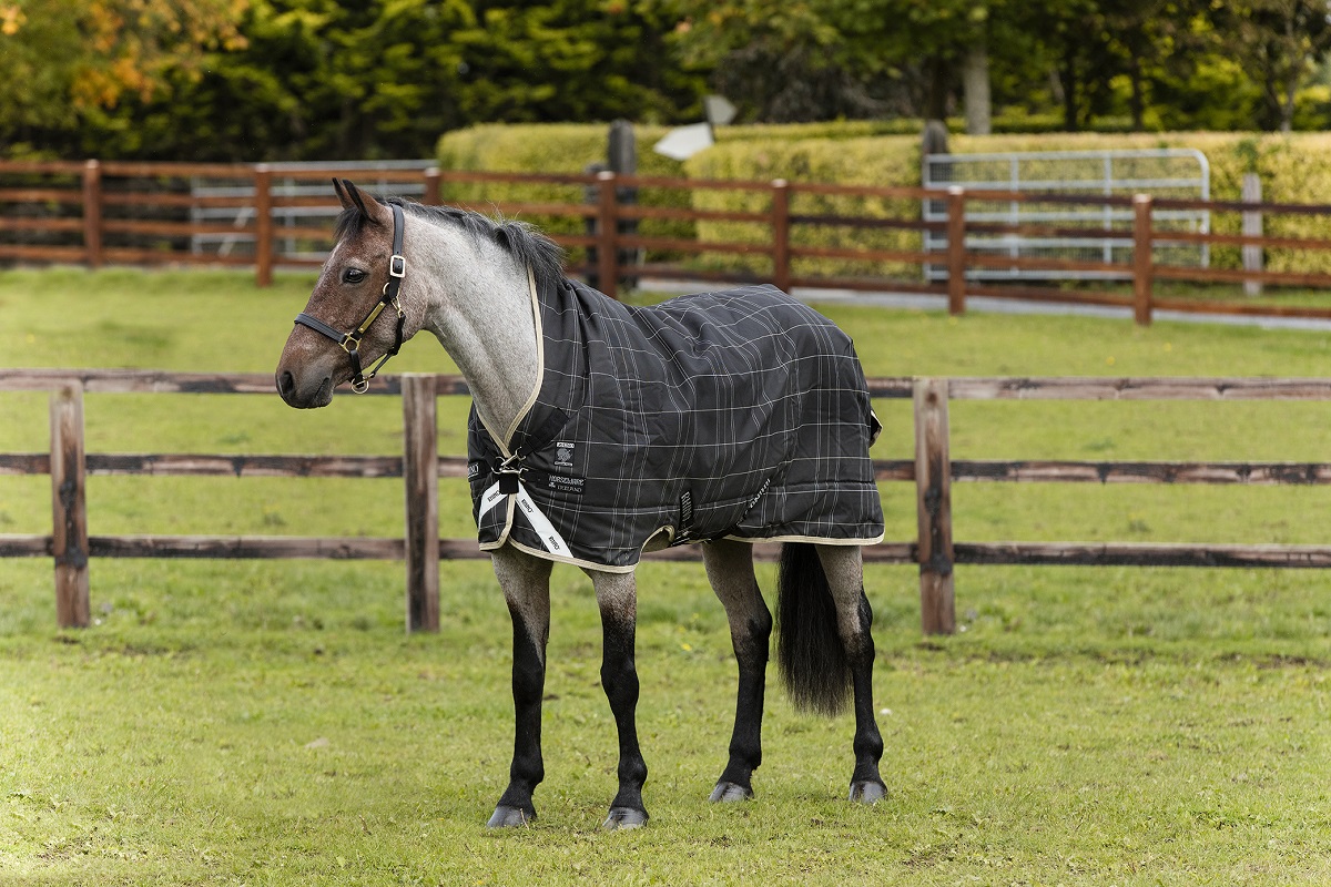 Rhino Wug mit Vari-Layer - Medium 250g Rhino Wug mit Vari-Layer - Medium 250g von Horseware