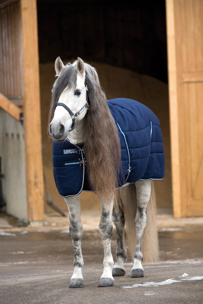 Stalldecke Rambo Stable Rug 400g - Liner kompatibel von Horseware