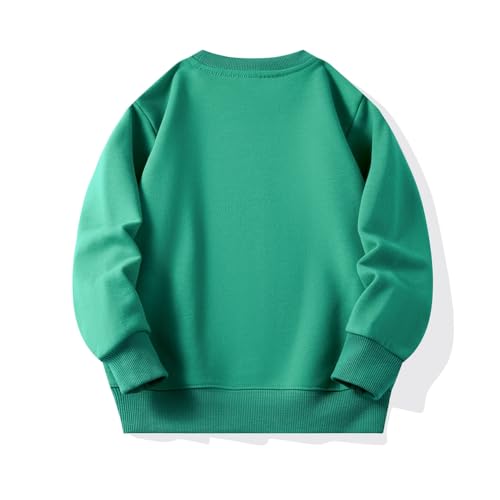 Hotfiary Jungen und Mädchen Dünne Sweatshirts Kleinkind Rundhalsausschnitt Pullover Crew Sweatshirt Kinder Casual Frühling Herbst Tops für 2-9T von Hotfiary