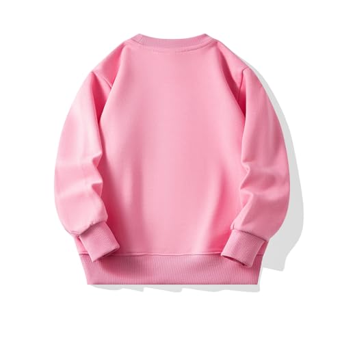 Hotfiary Jungen und Mädchen Dünne Sweatshirts Kleinkind Rundhalsausschnitt Pullover Crew Sweatshirt Kinder Casual Frühling Herbst Tops für 2-9T von Hotfiary