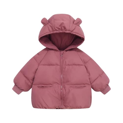 Hotfiary Kids Mädchen Daunenjacken Winter Winddichte Oberbekleidung Kleinkind Langärmelig Wattierte Mäntel mit Kapuze und versteckter Tasche Leichtes Kinder-Daunenjacke mit Reißverschluss Warme Outfit von Hotfiary