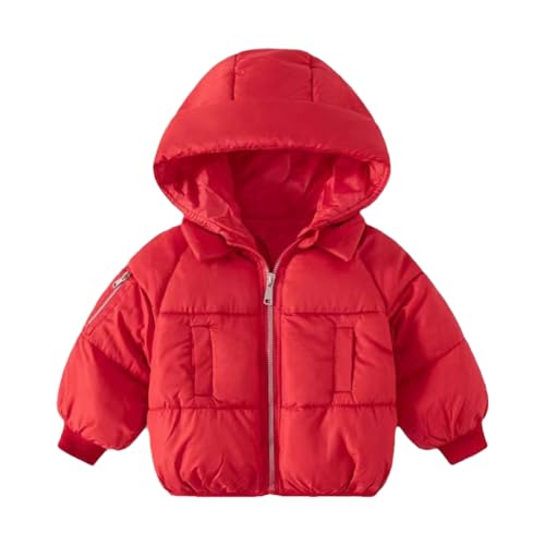 Hotfiary Kinder Daunenjacken Kleinkind Daunenmäntel Mädchen Junge Kapuze Lockere Oberbekleidung Baby Winterjacke mit Langarm und einfarbig Warme Outfits Jacken für 1-6T von Hotfiary