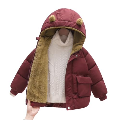 Hotfiary Kinder Mädchen Fleece Jacken Winddichte Mäntel Kleinkind Kapuzenbekleidung Kleine Mädchen Daunenjacke Kaltes Wetter Outfits Baby Winterkleidung für 1-7T von Hotfiary