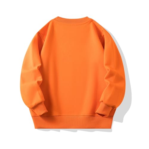 Hotfiary Mädchen und Jungen Dünne Sweatshirts Kleinkind Rundhalsausschnitt Pullover Crew Sweatshirt Kinder Casual Frühling Herbst Tops für 2-9T von Hotfiary