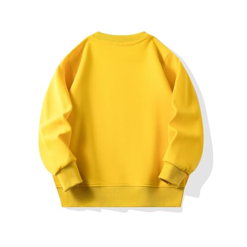 Hotfiary Mädchen und Jungen Dünne Sweatshirts Kleinkind Rundhalsausschnitt Pullover Crew Sweatshirt Kinder Casual Frühling Herbst Tops für 2-9T von Hotfiary