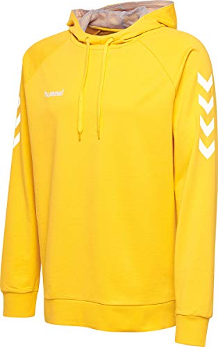 Hummel Kinder HMLGO KIDS COTTON HOODIE Kapuzenpullover, Sports Gelb, 152 von hummel