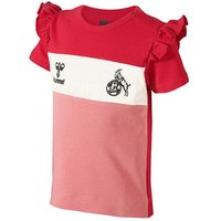hummel 1. FC Köln Baby Fanshirt Mädchen true red 56 hummel 1. FC Köln Baby Fanshirt Mädchen true red 56 von Hummel