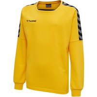 hummel Authentic Training Sweatshirt Kinder sports yellow 116 von Hummel