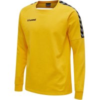 hummel Authentic Training Sweatshirt Herren sports yellow XL von Hummel