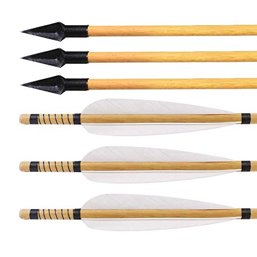 Huntingdoor 31" Holzpfeile mit Naturfedern Erwachsene Pfeile für Bogenschießen Jagdspitze Bogenpfeile Jagd Pfeil für Langbogen Traditioneller Bogen 6er Pack Huntingdoor 31" Holzpfeile mit Naturfedern Erwachsene Pfeile für Bogenschießen Jagdspitze Bogenpfeile Jagd Pfeil für Langbogen Traditioneller Bogen 6er Pack von Huntingdoor