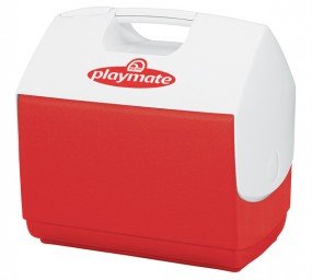 IGLOO Eisbox / Kältebox Little Playmate Elite 6,6 Liter rot IGLOO Eisbox / Kältebox Little Playmate Elite 6,6 Liter rot von IGLOO
