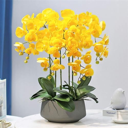 IONAZQTWW Phalaenopsis-Blumen, künstliche Orchidee, 60 cm, künstliche Phalaenopsis-Blumen mit Keramikvase im Topf, Elegante Kunstorchideen, Dekoration, künstliche Blume, natürliches Aussehen von IONAZQTWW